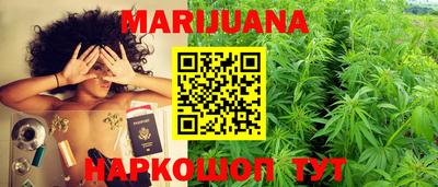 молекула духа Будённовск