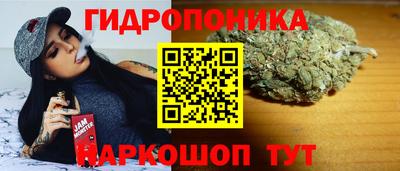 молекула духа Будённовск