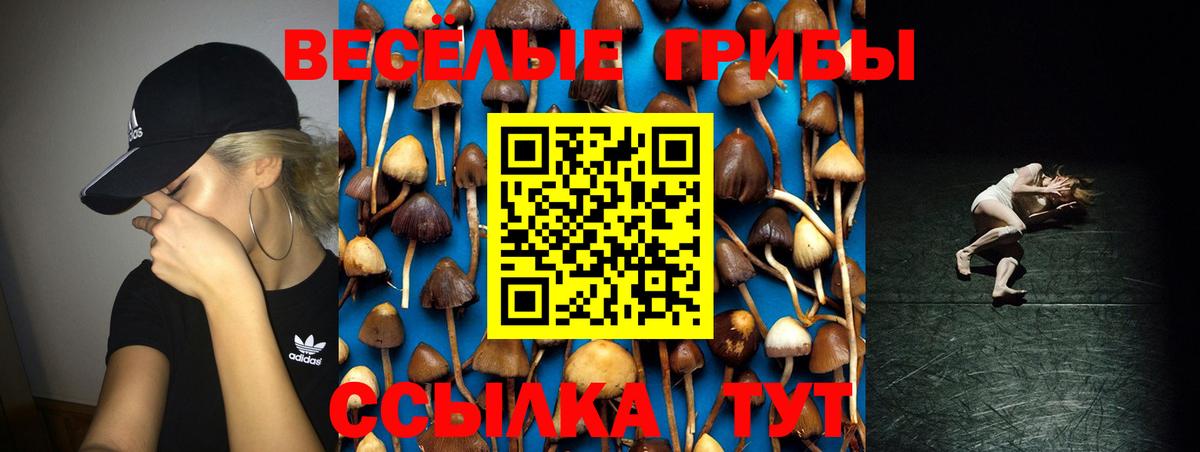 Псилоцибиновые грибы MAGIC MUSHROOMS  Галлюциногенные грибы мухоморы  Усть-Лабинск  где найти   Вход с VPN 